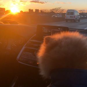 Meet your Posher, Yana